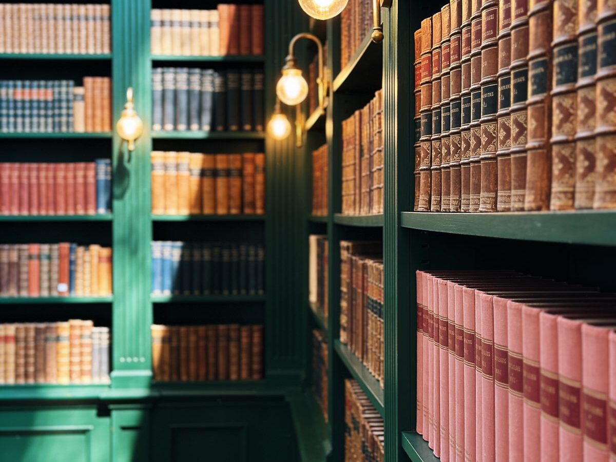 The reading room at Rebel & Rosewood: deep green shelves of novels lit by a warm brass picture light.