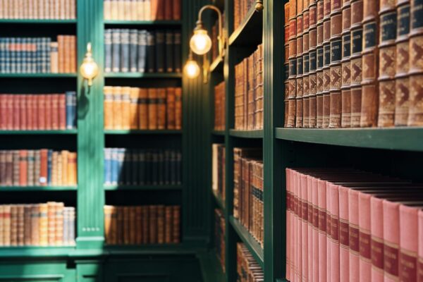 The reading room at Rebel & Rosewood: deep green shelves of novels lit by a warm brass picture light.