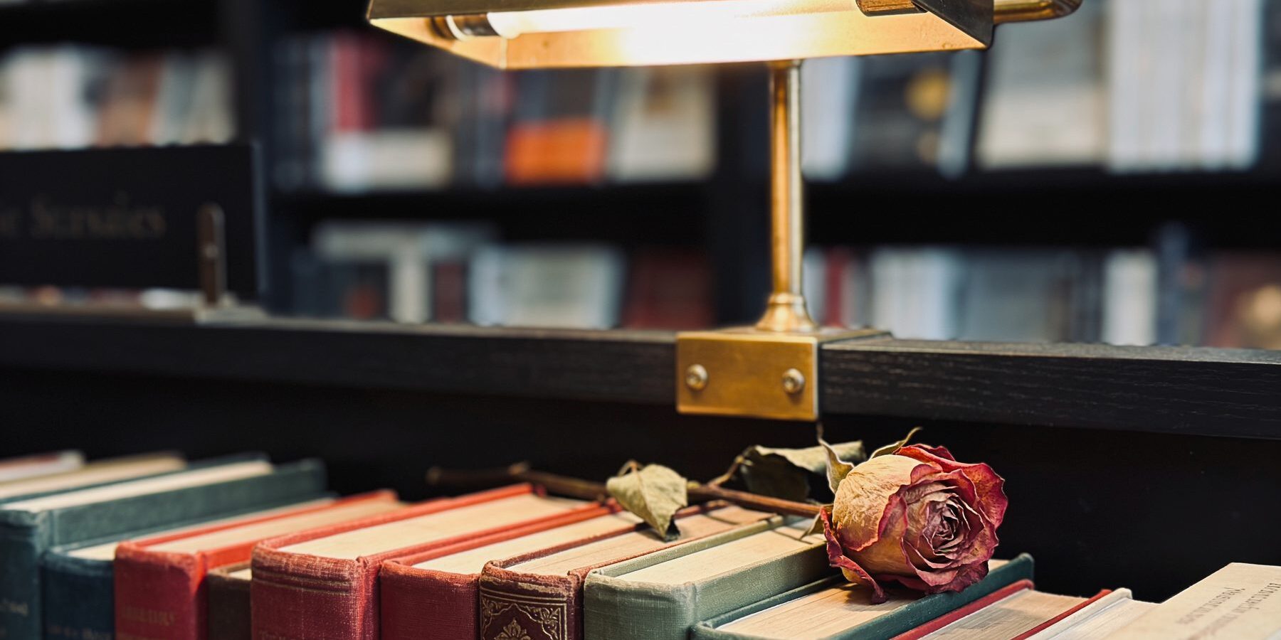 Close view of a shelf of cloth-bound spines in muted reds and greens, lit by a small brass shelf light, a dried rose resting against them.